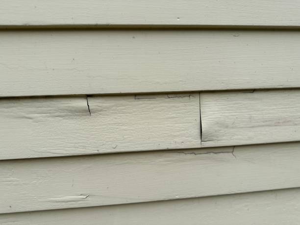 Best Historical Building Siding Restoration  in , MI